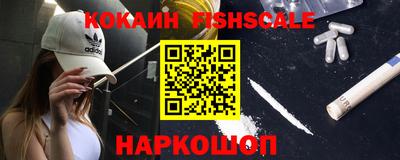 твердый Сланцы